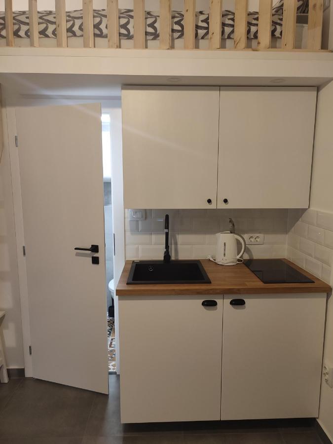 Apartman Dux 2 カルロヴァッツ エクステリア 写真