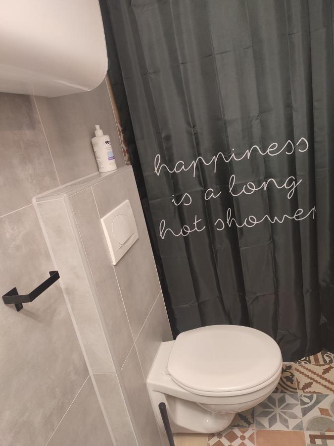Apartman Dux 2 カルロヴァッツ エクステリア 写真