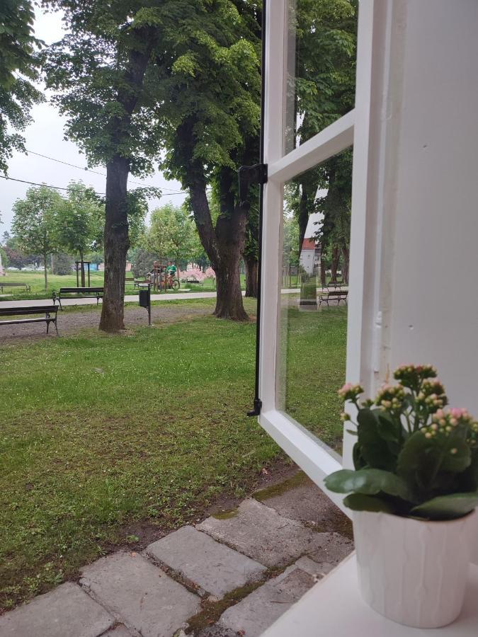 Apartman Dux 2 カルロヴァッツ エクステリア 写真